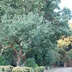 Casa De Arias