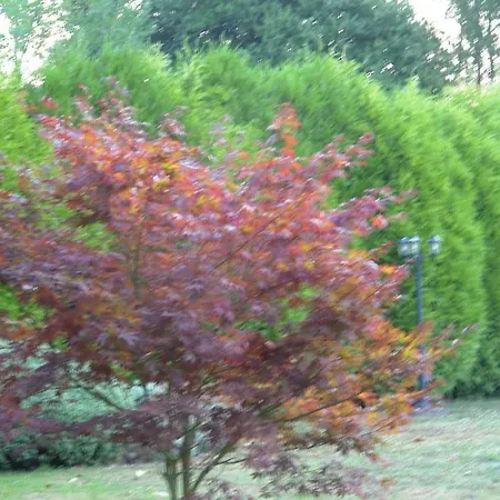 Casa De Arias Vakantiehuis *