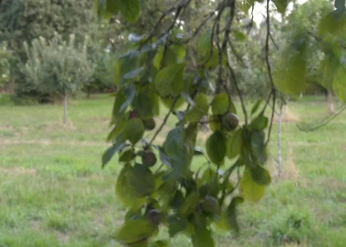 Casa De Arias Vakantiehuis Parga