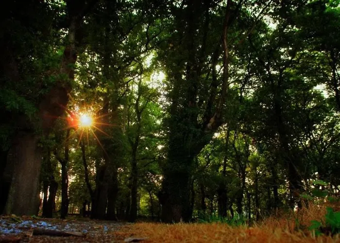 Casa De Arias Vakantiehuis Parga