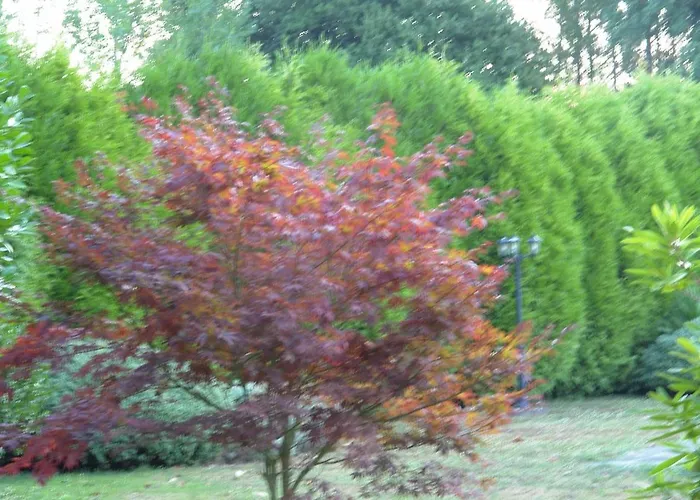 Casa De Arias Vakantiehuis *